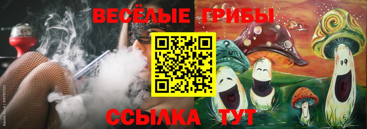 Псилоцибиновые грибы Psilocybine cubensis Владимир