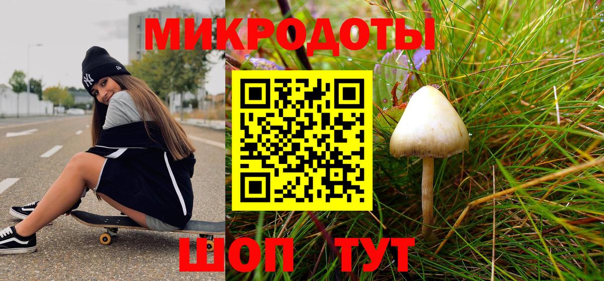 Владимир  Галлюциногенные грибы мухоморы  Вход с VPN 
